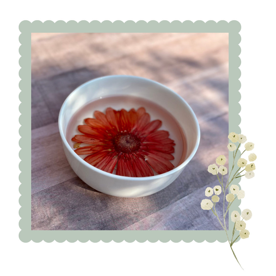 White bowl with a red flower floating in water on a wooden surface, decorative border and flowers on the sides.