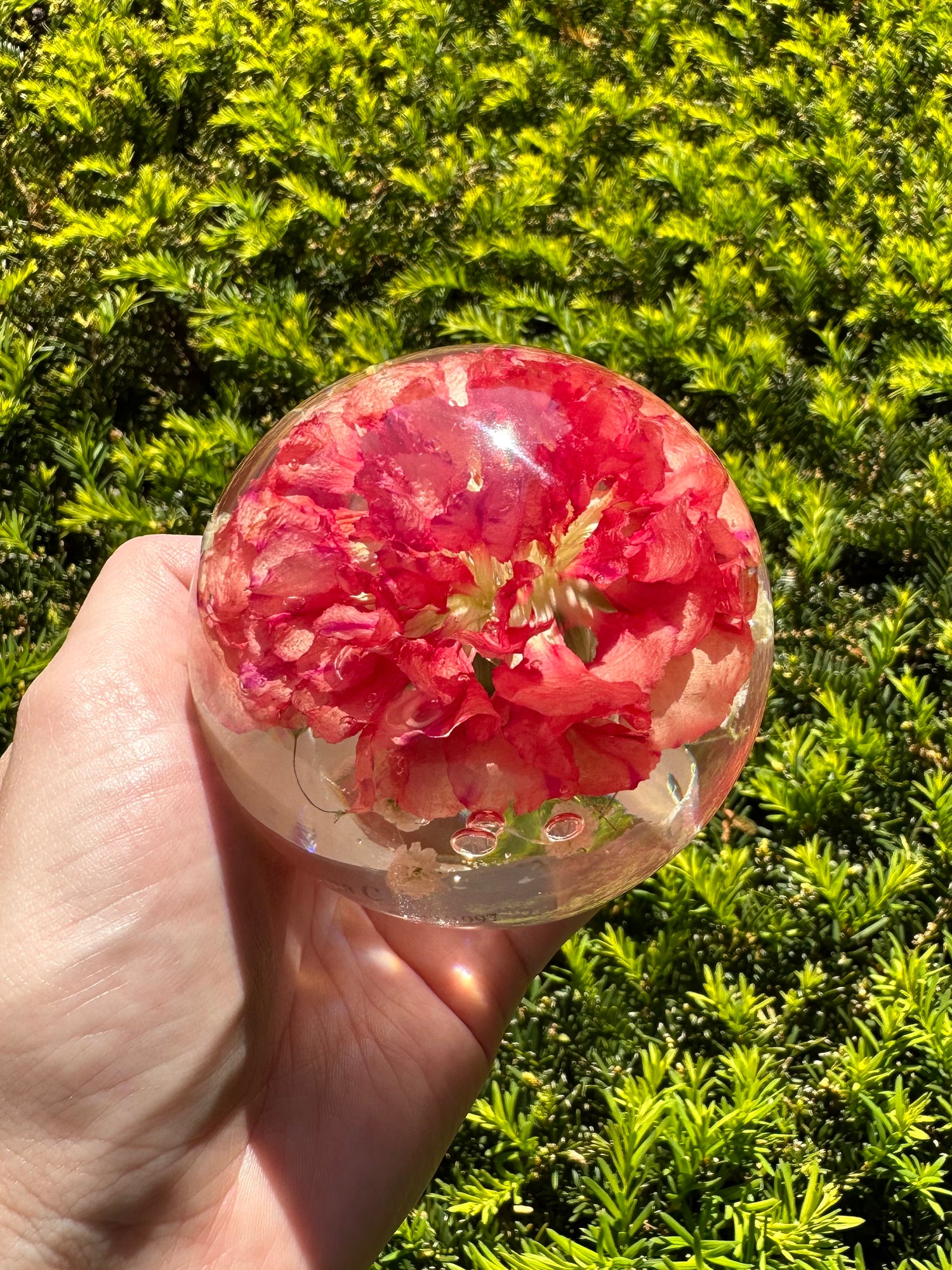 Hand holding a pink floral resin ball with greenery in the background